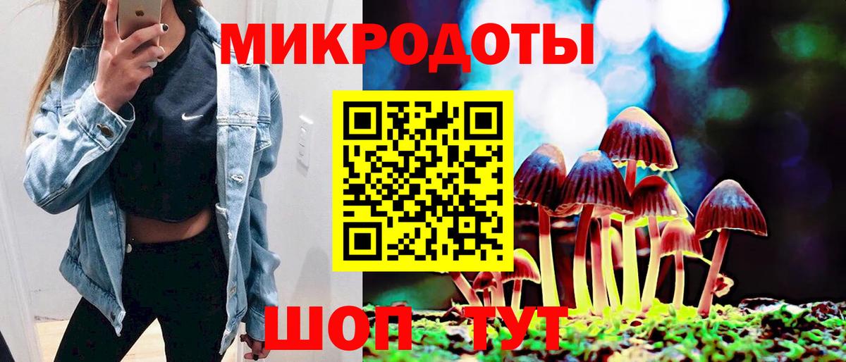 Отрадный  Галлюциногенные грибы Psilocybe  Псилоцибиновые грибы ЛСД  купить закладку  Вход с VPN 